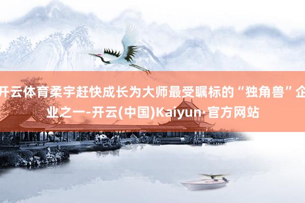 开云体育柔宇赶快成长为大师最受瞩标的“独角兽”企业之一-开云(中国)Kaiyun·官方网站