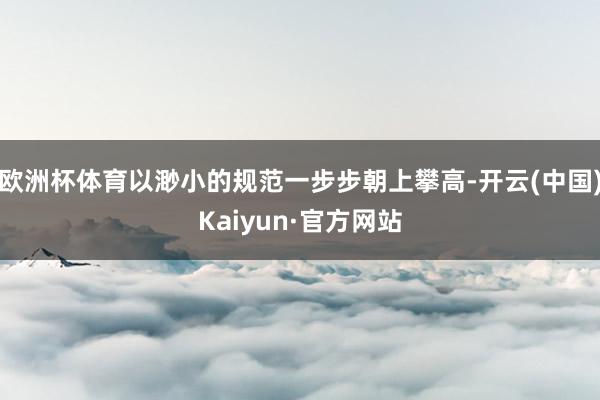欧洲杯体育以渺小的规范一步步朝上攀高-开云(中国)Kaiyun·官方网站